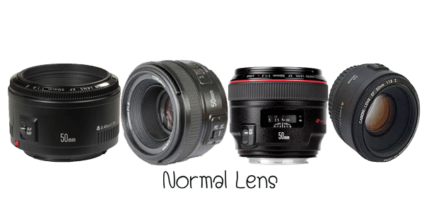 Normal Lens