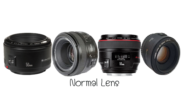 Normal Lens